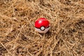 Pokeball in dry grass