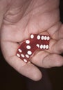 Poker dice in hand Royalty Free Stock Photo