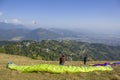 two paragliders prepare parachutes for takeoff on the hillside against the backdrop of the city in a