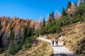 Pokljuka, Slovenia - Oktober 31, 2015: Hikers on the path to Bled mountain hut at Lipanca, Julian Alps,