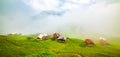 Pokut Plateau view with foggy weather.  Rize, Turkey. Royalty Free Stock Photo