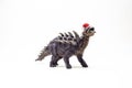Polacanthus Dinosaur with Christmas hat on white background Royalty Free Stock Photo