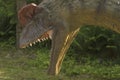 Poland Baltow May 30, 2023 at 15:56. Roaring Dilophosaurus. Royalty Free Stock Photo