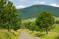 Poland, Bieszczady, Bystre Royalty Free Stock Photo