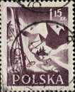POLAND-CIRCA 1956: A post stamp printed in Poland showing a mountain range in Poland as a symbol for hiking in Poland