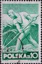 POLAND-CIRCA 1947 : A post stamp printed in Poland showing a farmer mowing grain with a scythe