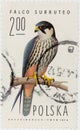 POLAND - CIRCA 1974: A postage stamp printed in Poland shows Eurasian hobby - Falco subbuteo, circa 1974