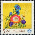 POLAND - CIRCA 1982: stamp 5 Polish zloty printed by Republic of Poland, shows Bouquet of Wild flowers