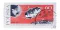 POLAND - CIRCA 1967: A stamp printed in shows flight of s