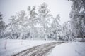 Back of snowy winter during the spring Royalty Free Stock Photo