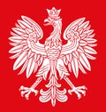 Poland eagle in national colors Royalty Free Stock Photo