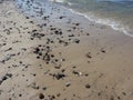 Poland, ÃÂeba - the pebbles on the beach.