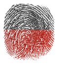 Poland Flag - thumbprint isolated on white background. Real fingerprint