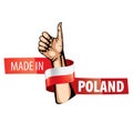 Poland flag, vector illustration on a white background