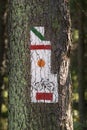 Poland, Gorce Mountains, trail blazing marks