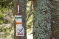 Poland, Gorce Mountains, trail blazing marks Royalty Free Stock Photo