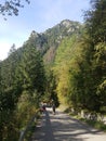 Poland, Malopolska, Tatra mountains - the Rybiego Potoku valley.