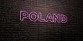 POLAND -Realistic Neon Sign on Brick Wall background - 3D rendered royalty free stock image