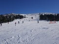 Poland, Szrenica mountain - the ski run. Royalty Free Stock Photo