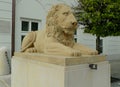 Poland, Warsaw, 50 Krakowskie Przedmiescie, Presidential Palace, lion statue Royalty Free Stock Photo