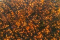 Poland Warsaw - 01. NOVEMBER 2021. All Saints' Day in Poland. Top view of cemetery, drone photo in night. Day of the