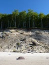 Poland, Wolin island - sandy cliff. Royalty Free Stock Photo