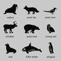 Polar animals icons Royalty Free Stock Photo