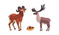 Polar Animals Set, Arctic Reindeer, Lemming and Mountain Goat Cartoon Vector Illustration Royalty Free Stock Photo