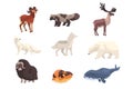 Polar animals set. Bear, musk ox, seal, polar fox, reindeer wild animal vector illustration