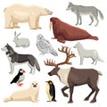 Polar Animals Set Royalty Free Stock Photo