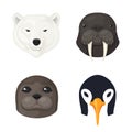 Polar animals set