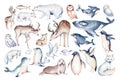 polar arctic animals watercolor collection set. snowy owl. reindeer. polar bear. fox. penguin, walrus. seal and oeca