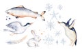 polar arctic animals watercolor collection set. snowy owl. reindeer. polar bear. fox. penguin, walrus. seal and oeca, hare whale Royalty Free Stock Photo