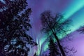 Polar arctic Northern lights aurora borealis sky star in Scandinavia Norway Tromso in the farm winter snow mountains Royalty Free Stock Photo