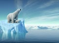 Polar bear above iceberg Royalty Free Stock Photo