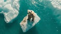 Lone Polar Bear on a Small Iceberg, Climate Change Concept, Wildlife in Peril Story, Captured in Natural Habitat. AI