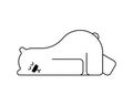 Polar bear asleep. Beast is sleeping. vector illustration Royalty Free Stock Photo