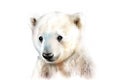 Polar bear baby portrait. Generative AI