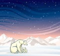 Polar bear with baby and winter landscape at night. Royalty Free Stock Photo