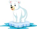 Polar bear cartoon