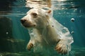 Polar bear caught in a plastic bag, environment pollution, filthy ocean by trash, danger to animal in arctic Royalty Free Stock Photo