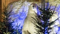 Polar bear Christmas animation, in night city Royalty Free Stock Photo