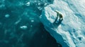 Polar bear on an iceberg in icy waters. A serene marine scene with wildlife. Picture perfect for environmental themes