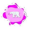 Polar bear colored origami style liquid bacdge icon. Simple color vector of oriqami animals icons for ui and ux, website or mobile Royalty Free Stock Photo