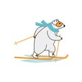 Polar bear cross-country skiing. Ski race outside winter sport concept. Royalty Free Stock Photo