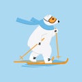 Polar bear cross-country skiing. Ski race outside winter sport concept. Royalty Free Stock Photo