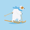 Polar bear cross-country skiing. Ski race outside winter sport concept. Royalty Free Stock Photo