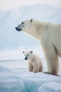 Polar bear with cub on an icefield in Svalbard AI generated