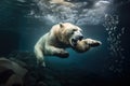 polar bear diving into freezing water after fish Royalty Free Stock Photo