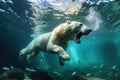 polar bear diving into freezing water after fish